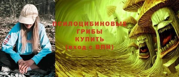 PSILOCYBIN Абдулино